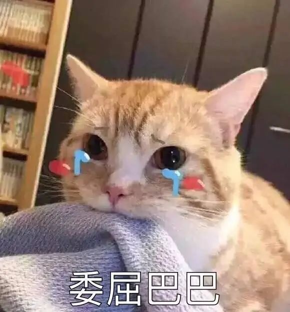 东莞的街坊恭喜啦！享受补贴，0元上大学的机会又来了