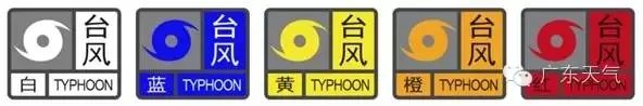 刚刚，台风登陆！