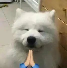 突发！东莞一汽车充电时自燃，烧得只剩车架！