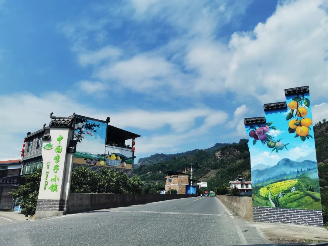 顺丰包邮！『四川茵红脱骨李』新鲜来袭！甜爽脆口，汁多肉厚，一掰就离核，不到20天的成熟周期，请您一起支持！