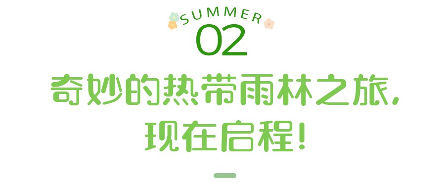 全面升级！58元2大2小亲子票，看爬宠、恐龙…在CBD室内体验「雨林探险」！