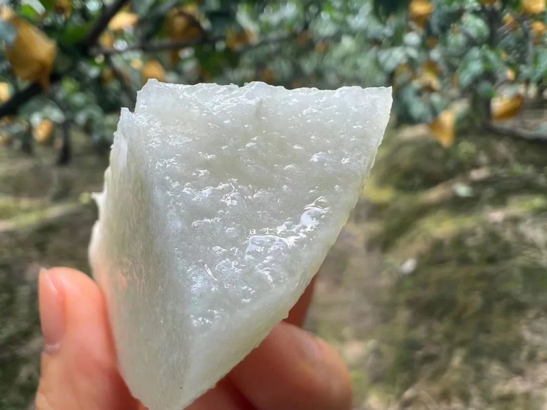 润肺降火吃个梨！大沙河【酥脆一号蜜梨】入口化渣，满嘴兜不住的甜汁！比超市便宜一半！