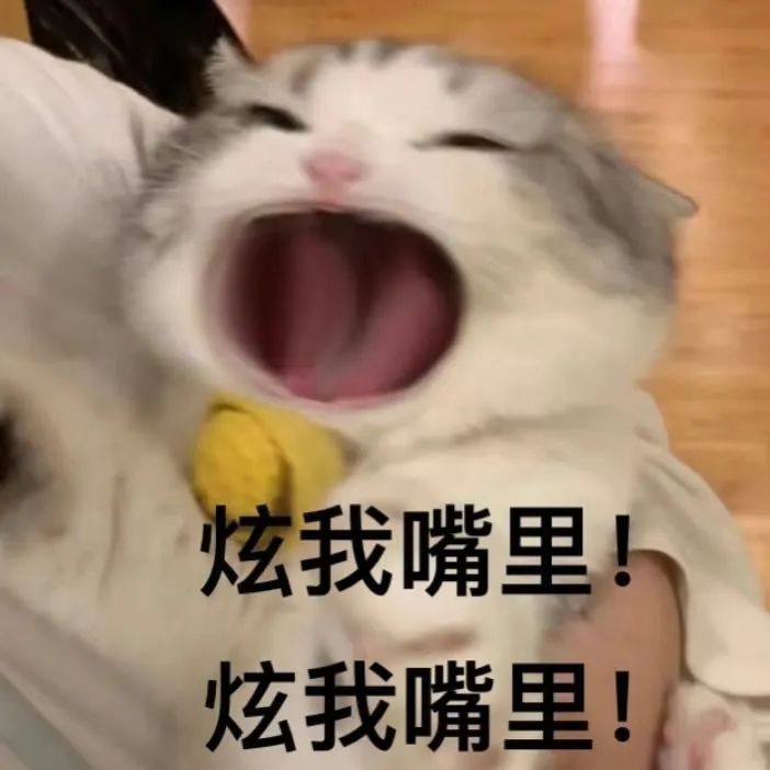 震惊！这么大的月饼你见过吗？