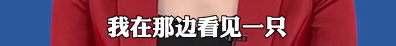 紧急提醒! 人贩子又出新骗局! 东莞家长警惕!