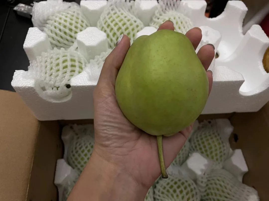 8.9元一大箱的陕西头茬早酥梨，咬一口流一手，清脆甘甜又爽口，夏日太适合了！"