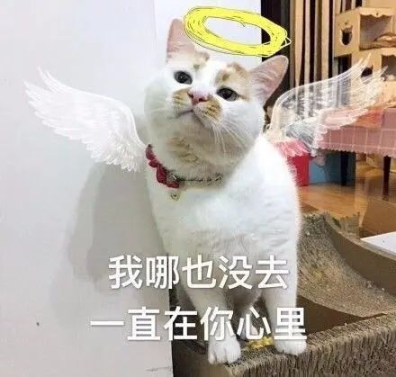 再见了！东莞南城海雅百货！