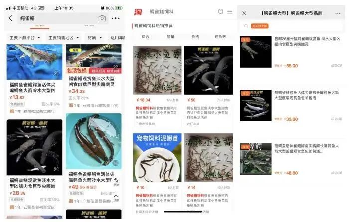 多地报告发现！紧急提醒：千万别买！千万别吃！