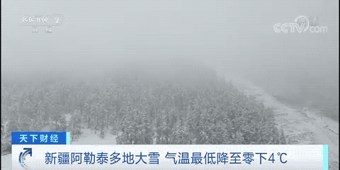 突发！9号台风生成！直吹广东！东莞未来天气.....