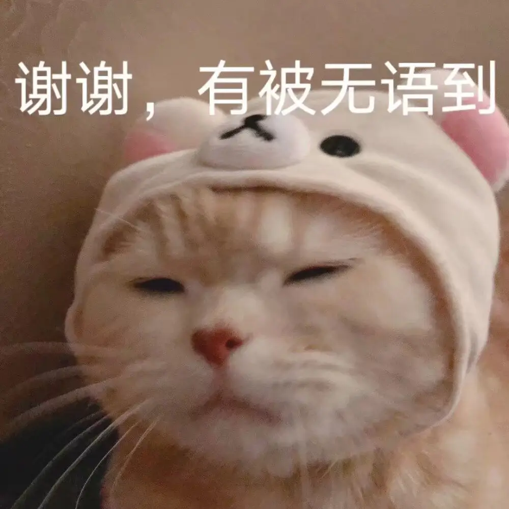 热搜第一！东莞启用新“红绿灯”，走错扣6分？官方回应了！