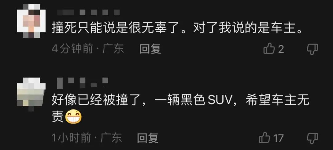 东莞再现"影帝级"碰瓷党！经常走这条路的注意！