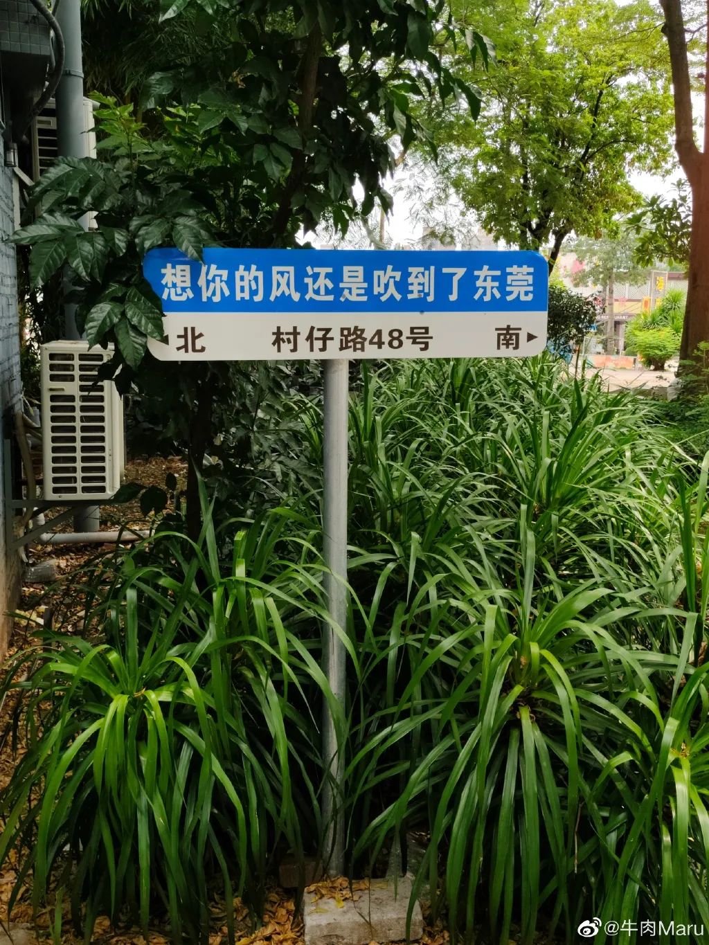再见了! 东莞这种"网红打卡点"被整改!