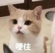 紧急！双预警生效！台风“梅花”爆发式加强！东莞人快做好准备！
