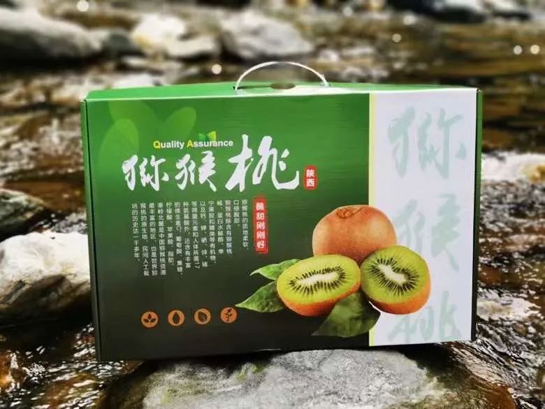 降价了！1颗/1元全国包邮！助销陕西300万斤猕猴桃走出大山，果园直销，香甜多汁，出口品质，一口气可以吃三个！