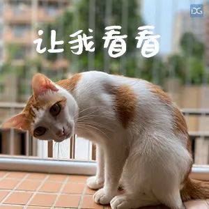 粤S注意！东莞这些道路严管，涉及多镇街