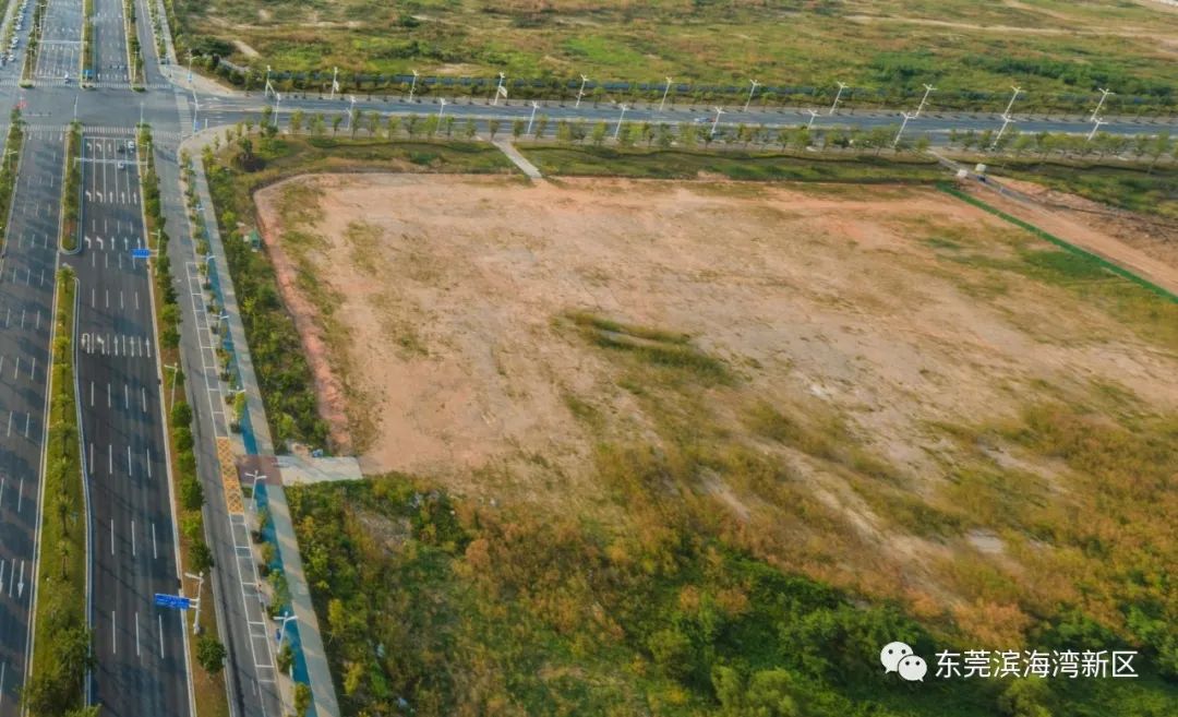 部分道路停车收费！去东莞这2个地方玩注意了