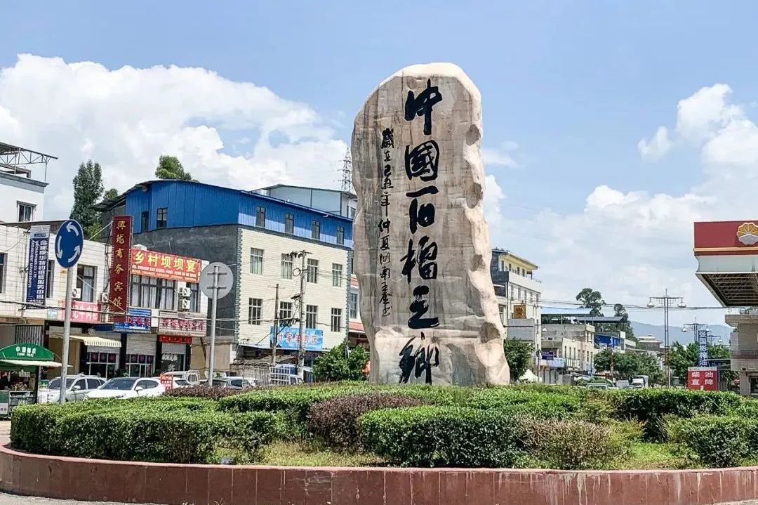 降价啦！28.9元5斤！多汁爆甜的突尼斯软籽石榴！大口吃不吐籽，皮薄粒大，清甜爽口~