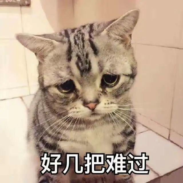 正式官宣！东莞入秋了！