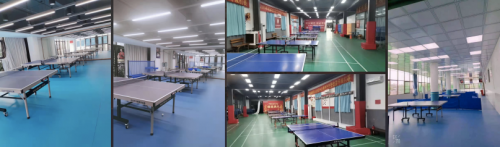 热烈祝贺东莞鑫巍乒乓球俱乐部成为全国体育运动学校联合会青少年乒乓球运动技能等级标准考点单位