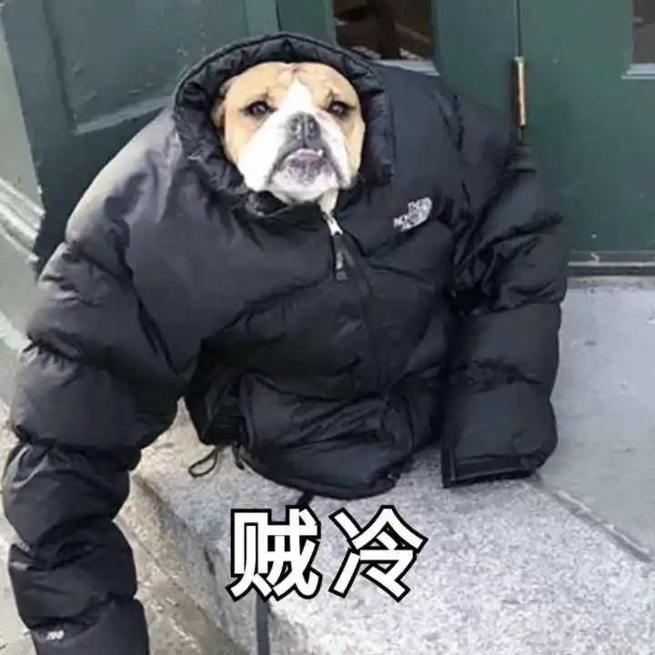 阴冷+雨！东莞寒冷黄色预警生效，2股冷空气来袭！最低温仅……