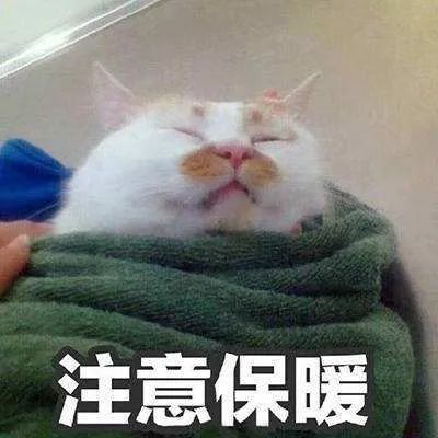 最低8℃！今天起，连续3波冷空气杀到，东莞开启“湿冷模式”！