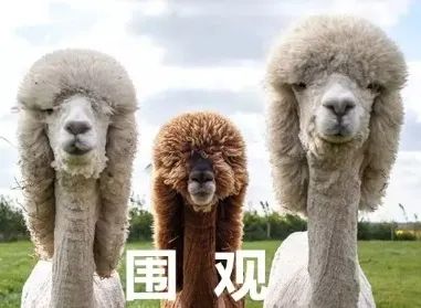 “我阳了”！上班“阳了”算工伤吗？感染后居家工资发不发？