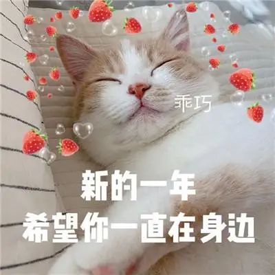 粤S注意！元旦假期避堵攻略来啦！