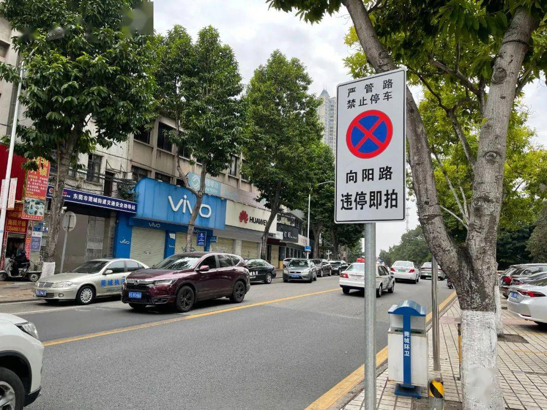 @东莞人，遇到这6种交通违法行为，立即拿出手机举报！