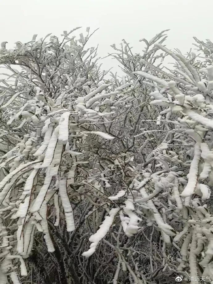 注意！东莞人上班时间有变！还有冷空气在路上！