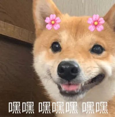冻哭！骤降10+℃！今晚开始超强寒潮+湿冷阴雨杀到东莞！春节假期要泡汤了……