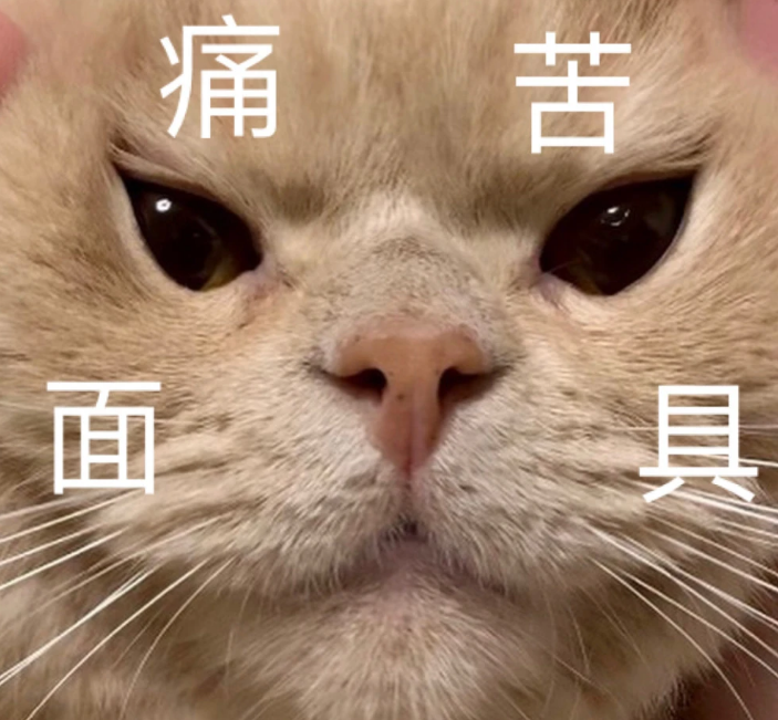 猝不及防！东莞周末升温至25℃！东莞人最讨厌的天气来了！将持续到……