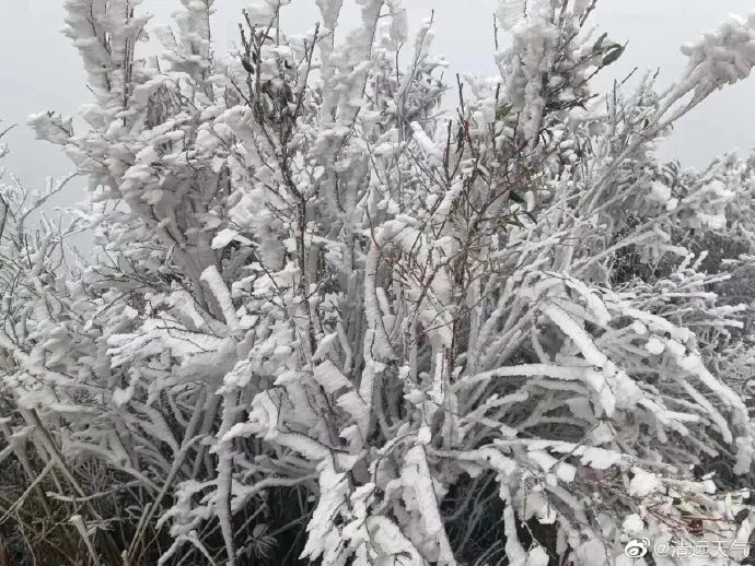 注意！东莞人上班时间有变！还有冷空气在路上！