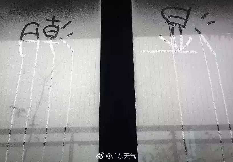 猝不及防！东莞周末升温至25℃！东莞人最讨厌的天气来了！将持续到……