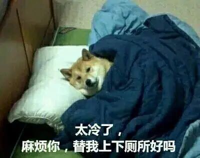 广东下雪了！144个寒冷预警同时生效!东莞明天更冷！持续到....