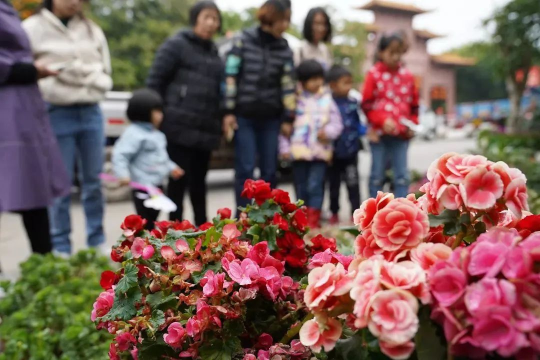 东莞最新官宣！迎春花市恢复，时间就在……