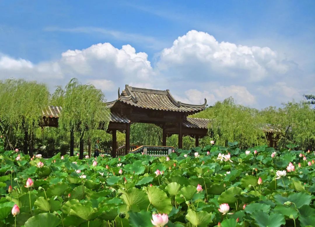 震撼之秀！门票29.9/人！粤晖园赏岭南之秀！远可看青山绿水，近可赏建筑魅力！