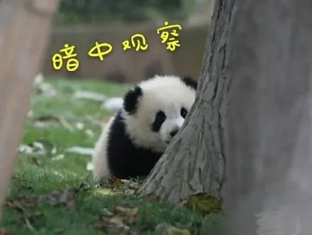 快来看看有没你们村？东莞最富村排行榜出炉！第一名居然是它……