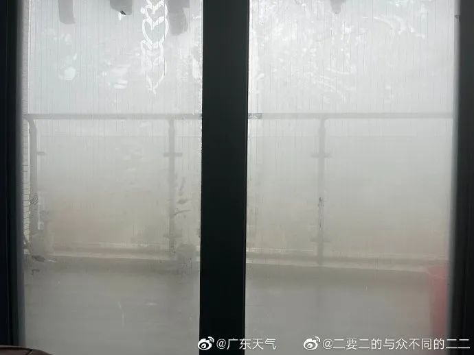 猝不及防！东莞周末升温至25℃！东莞人最讨厌的天气来了！将持续到……