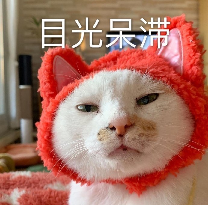 升到20度！东莞重回“乱穿模式”？东莞春节天气....