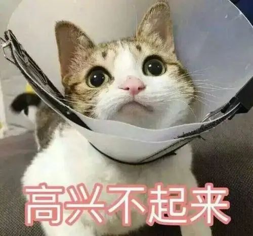 紧急提醒！东莞这些学生延迟返校！