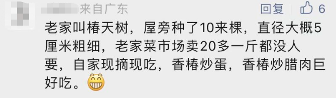 贵到飞起！这个菜卖到188元/斤！东莞人你吃过吗？