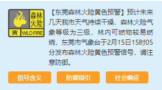 火光四起！浓烟滚滚！东莞工厂突发大火！半个镇的人都看见大火了！