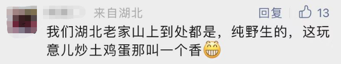 贵到飞起！这个菜卖到188元/斤！东莞人你吃过吗？