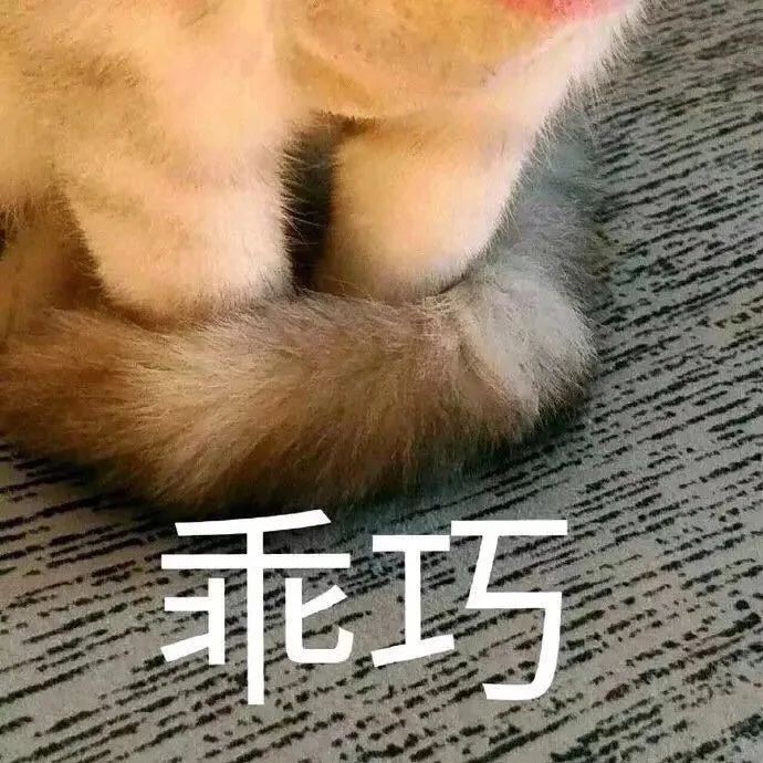 罚款5000元! 近期去香港的东莞人, 千万别做这件事! 否则...