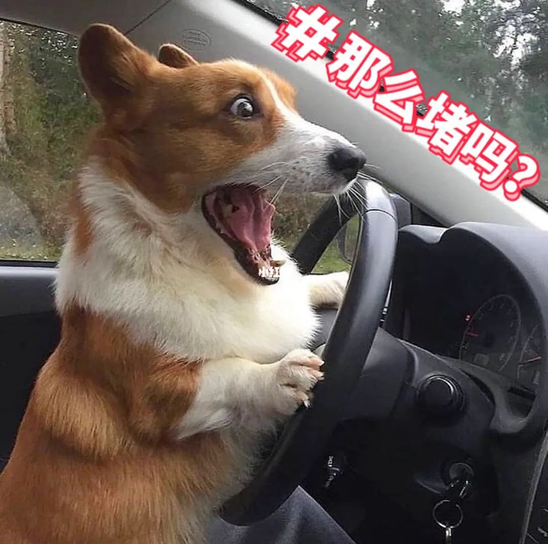 扩散！11个镇区紧急提醒！