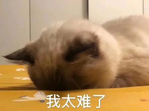 刚刚发布，东莞这个红色预警生效！