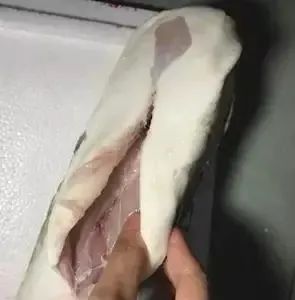 有剧毒！严重可致命！广东多人中招，无特效药