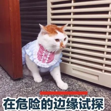 事发东莞！“天花板”掉下来了！