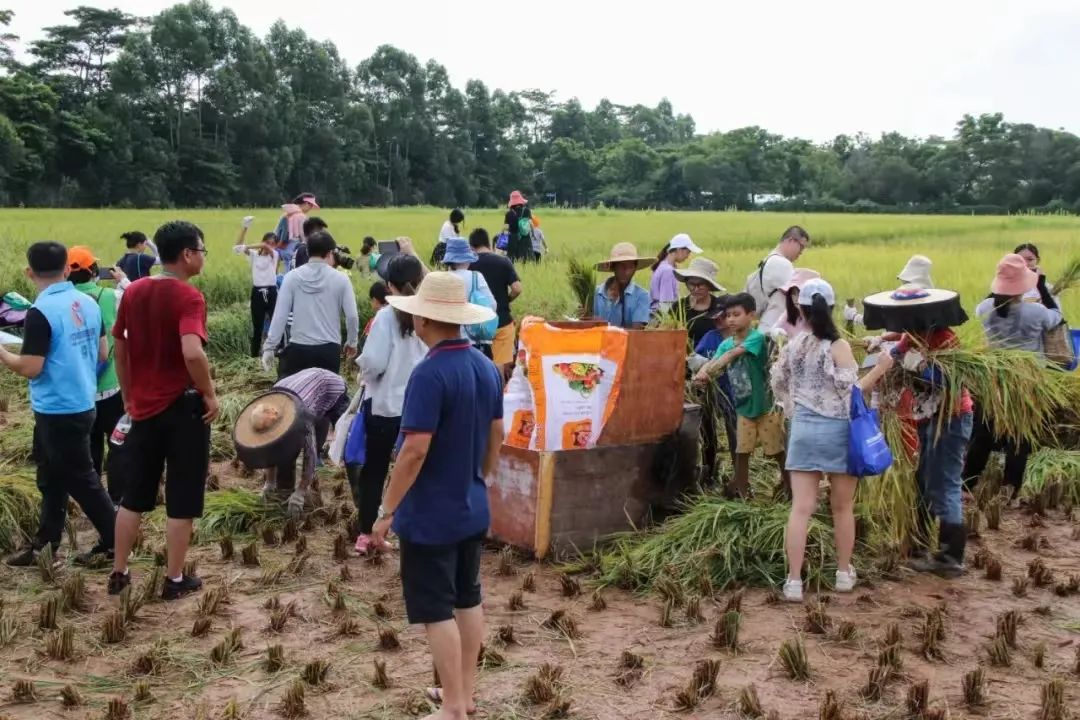 全部禁止！东莞一镇街发布最新通告！