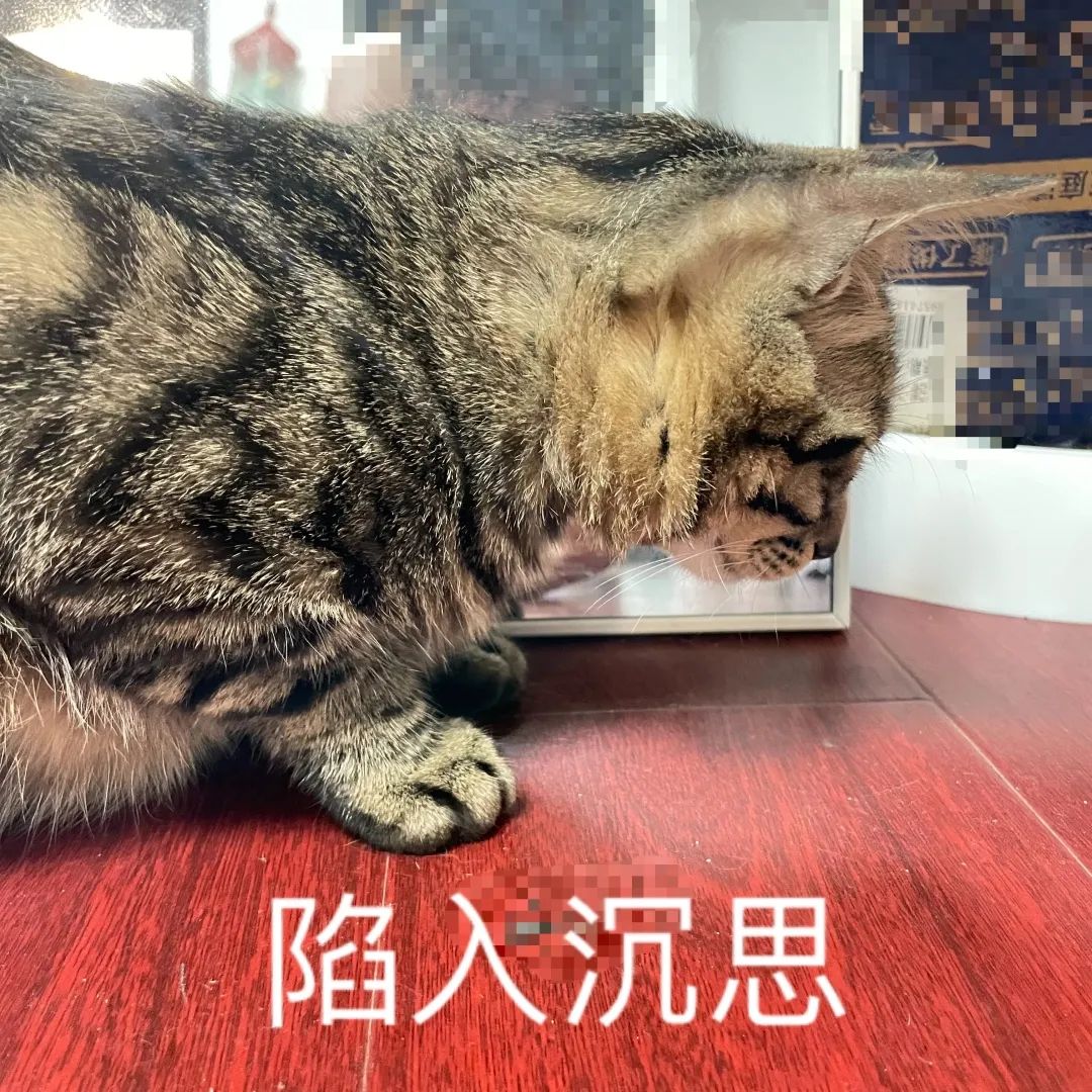 0元硬币来了！东莞最后3000枚预订，又要抢爆了！"