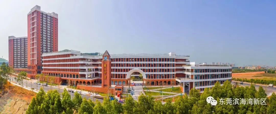 东莞公办学校爆发！新增学位近1.4万个！